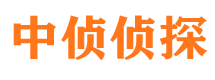 彭山捉小三公司